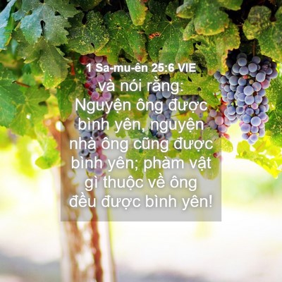Picture 04 - 1 Sa-mu-ên 25:6 VIE - và nói rằng: Nguyện ông được bình - Bible Verse Picture