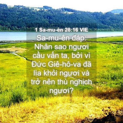 Picture 04 - 1 Sa-mu-ên 28:16 VIE - Sa-mu-ên đáp: Nhân sao ngươi cầu vấn - Bible Verse Picture