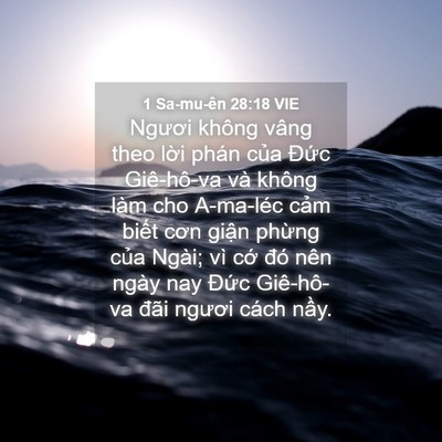 Picture 04 - 1 Sa-mu-ên 28:18 VIE - Ngươi không vâng theo lời phán của - Bible Verse Picture
