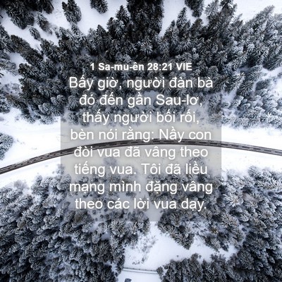 Picture 04 - 1 Sa-mu-ên 28:21 VIE - Bấy giờ, người đàn bà đó đến gần - Bible Verse Picture