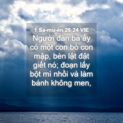 Picture 04 - 1 Sa-mu-ên 28:24 VIE - Người đàn bà ấy có một con bò con - Bible Verse Picture