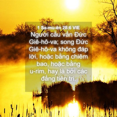 Picture 04 - 1 Sa-mu-ên 28:6 VIE - Người cầu vấn Đức Giê-hô-va; song - Bible Verse Picture
