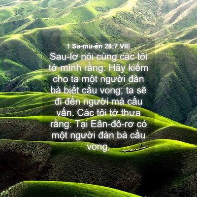 Picture 04 - 1 Sa-mu-ên 28:7 VIE - Sau-lơ nói cùng các tôi tớ mình rằng: - Bible Verse Picture