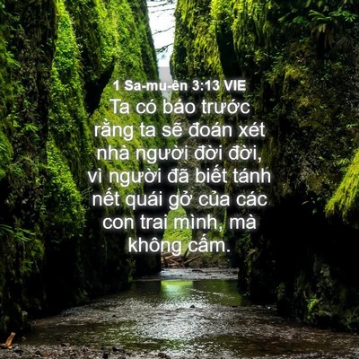 Picture 04 - 1 Sa-mu-ên 3:13 VIE - Ta có báo trước rằng ta sẽ đoán xét - Bible Verse Picture
