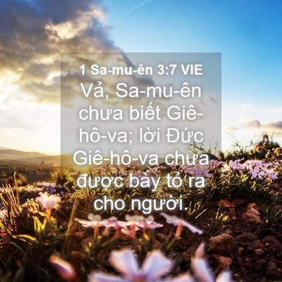 Picture 04 - 1 Sa-mu-ên 3:7 VIE - Vả, Sa-mu-ên chưa biết Giê-hô-va; lời - Bible Verse Picture