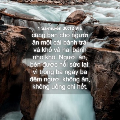Picture 04 - 1 Sa-mu-ên 30:12 VIE - cũng ban cho người ăn một cái bánh trái - Bible Verse Picture