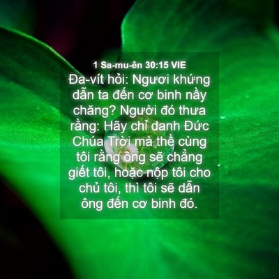 Picture 04 - 1 Sa-mu-ên 30:15 VIE - Đa-vít hỏi: Ngươi khứng dẫn ta đến - Bible Verse Picture