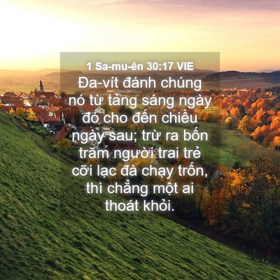 Picture 04 - 1 Sa-mu-ên 30:17 VIE - Đa-vít đánh chúng nó từ tảng sáng - Bible Verse Picture