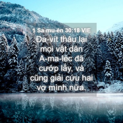 Picture 04 - 1 Sa-mu-ên 30:18 VIE - Đa-vít thâu lại mọi vật dân A-ma-léc - Bible Verse Picture