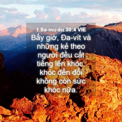 Picture 04 - 1 Sa-mu-ên 30:4 VIE - Bấy giờ, Đa-vít và những kẻ theo - Bible Verse Picture