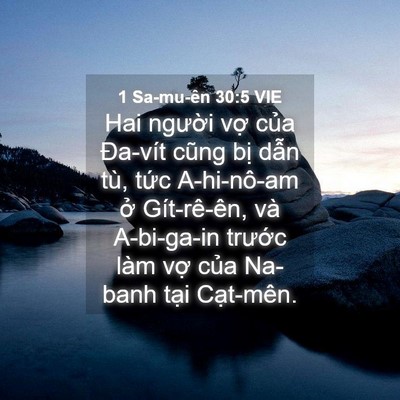 Picture 04 - 1 Sa-mu-ên 30:5 VIE - Hai người vợ của Đa-vít cũng bị dẫn - Bible Verse Picture
