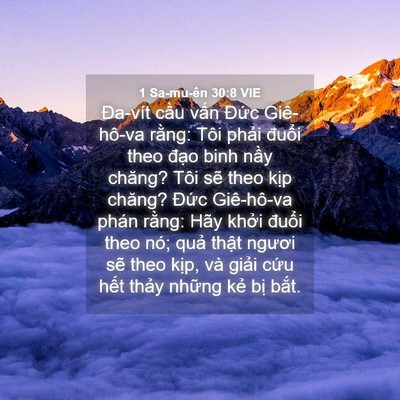 Picture 04 - 1 Sa-mu-ên 30:8 VIE - Đa-vít cầu vấn Đức Giê-hô-va rằng: - Bible Verse Picture