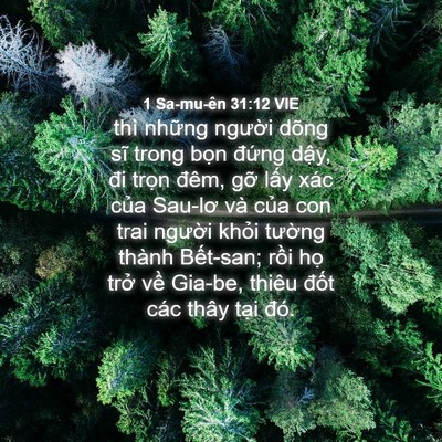 Picture 04 - 1 Sa-mu-ên 31:12 VIE - thì những người dõng sĩ trong bọn - Bible Verse Picture