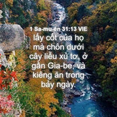 Picture 04 - 1 Sa-mu-ên 31:13 VIE - lấy cốt của họ mà chôn dưới cây - Bible Verse Picture