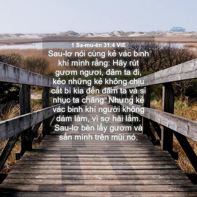 Picture 04 - 1 Sa-mu-ên 31:4 VIE - Sau-lơ nói cùng kẻ vác binh khí mình - Bible Verse Picture
