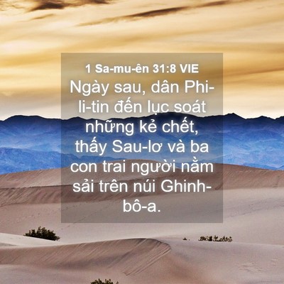 Picture 04 - 1 Sa-mu-ên 31:8 VIE - Ngày sau, dân Phi-li-tin đến lục soát - Bible Verse Picture
