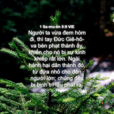 Picture 04 - 1 Sa-mu-ên 5:9 VIE - Người ta vừa đem hòm đi, thì tay Đức - Bible Verse Picture