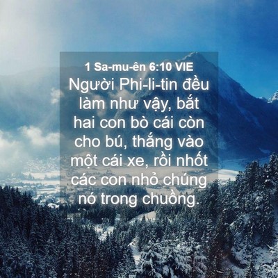 Picture 04 - 1 Sa-mu-ên 6:10 VIE - Người Phi-li-tin đều làm như vậy, bắt - Bible Verse Picture