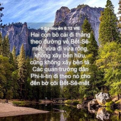 Picture 04 - 1 Sa-mu-ên 6:12 VIE - Hai con bò cái đi thẳng theo đường về - Bible Verse Picture