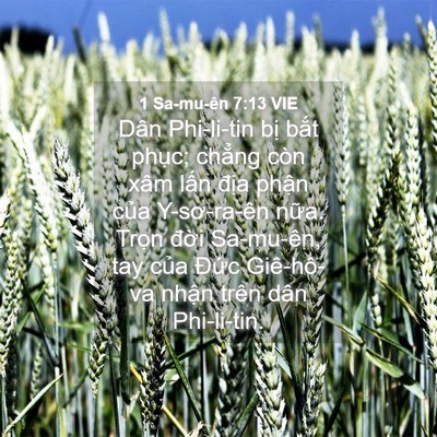 Picture 04 - 1 Sa-mu-ên 7:13 VIE - Dân Phi-li-tin bị bắt phục; chẳng còn - Bible Verse Picture