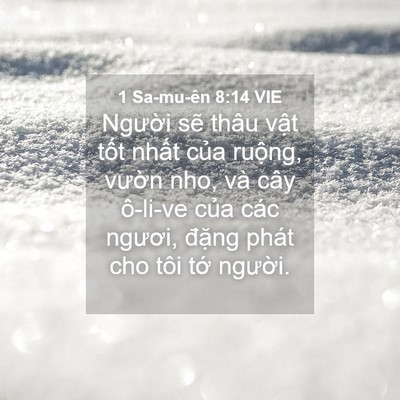 Picture 04 - 1 Sa-mu-ên 8:14 VIE - Người sẽ thâu vật tốt nhất của - Bible Verse Picture