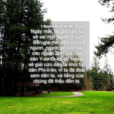 Picture 04 - 1 Sa-mu-ên 9:16 VIE - Ngày mai, tại giờ nầy, ta sẽ sai một - Bible Verse Picture
