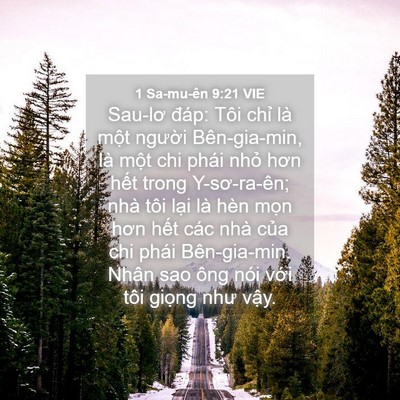 Picture 04 - 1 Sa-mu-ên 9:21 VIE - Sau-lơ đáp: Tôi chỉ là một người - Bible Verse Picture