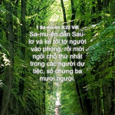 Picture 04 - 1 Sa-mu-ên 9:22 VIE - Sa-mu-ên dẫn Sau-lơ và kẻ tôi tớ - Bible Verse Picture