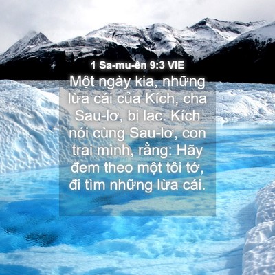 Picture 04 - 1 Sa-mu-ên 9:3 VIE - Một ngày kia, những lừa cái của Kích, - Bible Verse Picture