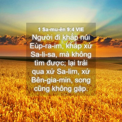 Picture 04 - 1 Sa-mu-ên 9:4 VIE - Người đi khắp núi Eùp-ra-im, khắp xứ - Bible Verse Picture