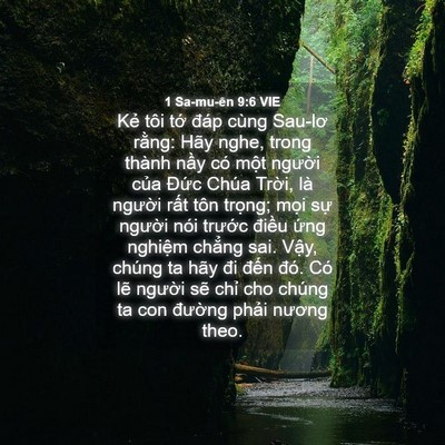 Picture 04 - 1 Sa-mu-ên 9:6 VIE - Kẻ tôi tớ đáp cùng Sau-lơ rằng: Hãy - Bible Verse Picture
