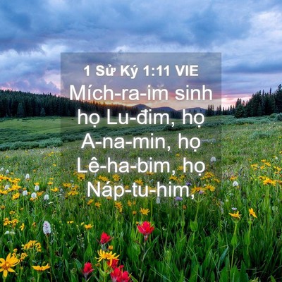 Picture 04 - 1 Sử Ký 1:11 VIE - Mích-ra-im sinh họ Lu-đim, họ A-na-min, - Bible Verse Picture