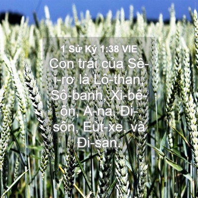 Picture 04 - 1 Sử Ký 1:38 VIE - Con trai của Sê-i-rơ là Lô-than, Sô-banh, - Bible Verse Picture