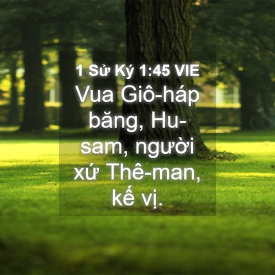 Picture 04 - 1 Sử Ký 1:45 VIE - Vua Giô-háp băng, Hu-sam, người xứ - Bible Verse Picture