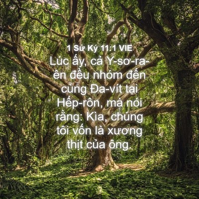 Picture 04 - 1 Sử Ký 11:1 VIE - Lúc ấy, cả Y-sơ-ra-ên đều nhóm đến - Bible Verse Picture