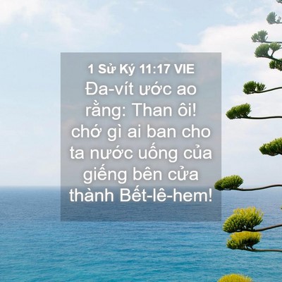 Picture 04 - 1 Sử Ký 11:17 VIE - Đa-vít ước ao rằng: Than ôi! chớ gì ai - Bible Verse Picture