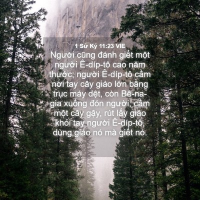 Picture 04 - 1 Sử Ký 11:23 VIE - Người cũng đánh giết một người - Bible Verse Picture