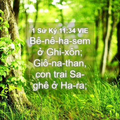 Picture 04 - 1 Sử Ký 11:34 VIE - Bê-nê-ha-sem ở Ghi-xôn; Giô-na-than, con - Bible Verse Picture