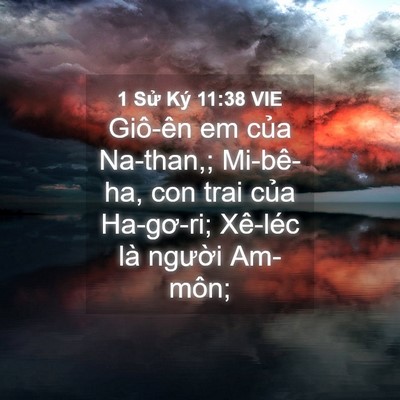 Picture 04 - 1 Sử Ký 11:38 VIE - Giô-ên em của Na-than,; Mi-bê-ha, con trai - Bible Verse Picture