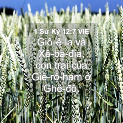 Picture 04 - 1 Sử Ký 12:7 VIE - Giô-ê-la và Xê-ba-đia, con trai của - Bible Verse Picture