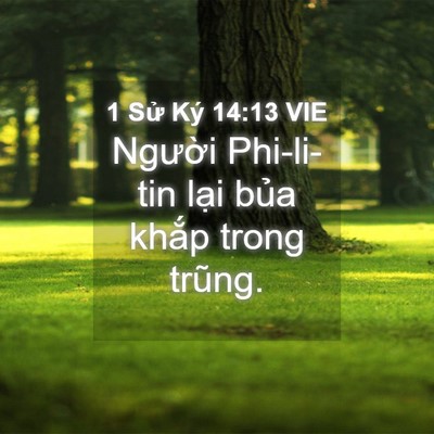 Picture 04 - 1 Sử Ký 14:13 VIE - Người Phi-li-tin lại bủa khắp trong - Bible Verse Picture