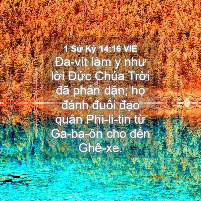Picture 04 - 1 Sử Ký 14:16 VIE - Đa-vít làm y như lời Đức Chúa Trời - Bible Verse Picture