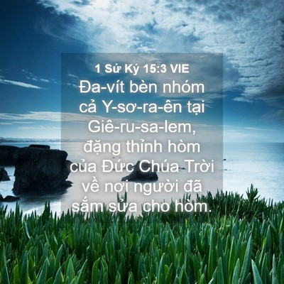 Picture 04 - 1 Sử Ký 15:3 VIE - Đa-vít bèn nhóm cả Y-sơ-ra-ên tại - Bible Verse Picture
