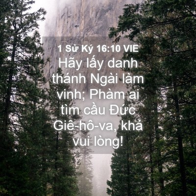 Picture 04 - 1 Sử Ký 16:10 VIE - Hãy lấy danh thánh Ngài làm vinh; Phàm ai - Bible Verse Picture