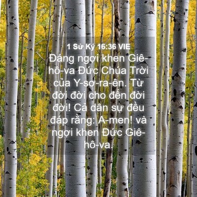 Picture 04 - 1 Sử Ký 16:36 VIE - Đáng ngợi khen Giê-hô-va Đức Chúa - Bible Verse Picture