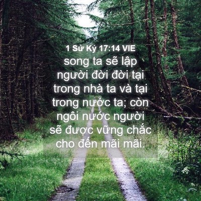 Picture 04 - 1 Sử Ký 17:14 VIE - song ta sẽ lập người đời đời tại - Bible Verse Picture