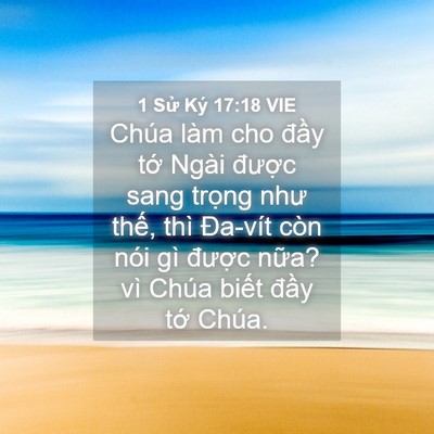 Picture 04 - 1 Sử Ký 17:18 VIE - Chúa làm cho đầy tớ Ngài được sang - Bible Verse Picture