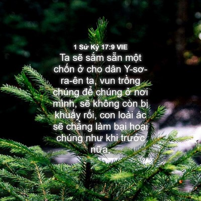Picture 04 - 1 Sử Ký 17:9 VIE - Ta sẽ sắm sẵn một chốn ở cho dân - Bible Verse Picture