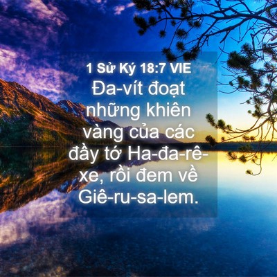 Picture 04 - 1 Sử Ký 18:7 VIE - Đa-vít đoạt những khiên vàng của các - Bible Verse Picture