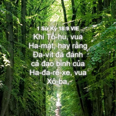 Picture 04 - 1 Sử Ký 18:9 VIE - Khi Tô-hu, vua Ha-mát, hay rằng Đa-vít đã - Bible Verse Picture
